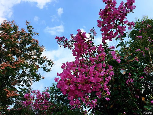 南京鼓勵建設單位推進全過程咨詢發包，專業服務引領建筑行業升級